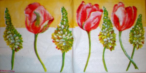 058 Tulips - Molca